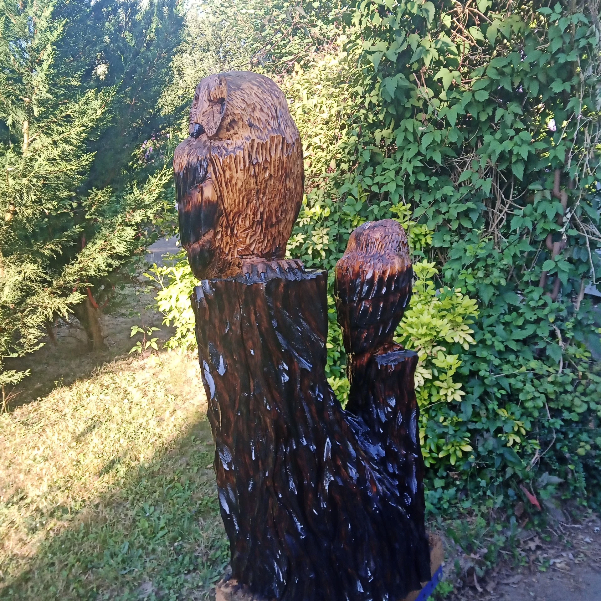 1000012278